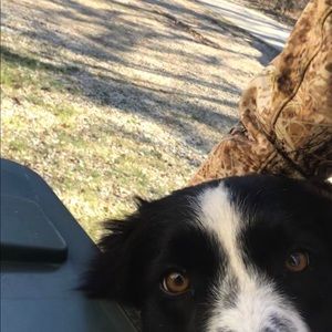 Meet your Posher, Colby
